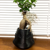 Stormtrooper flower pot - Thumbnail 4