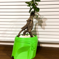 Mandalorian flower pot  - Thumbnail 4