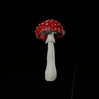 Amanita mushrooms - Thumbnail 1