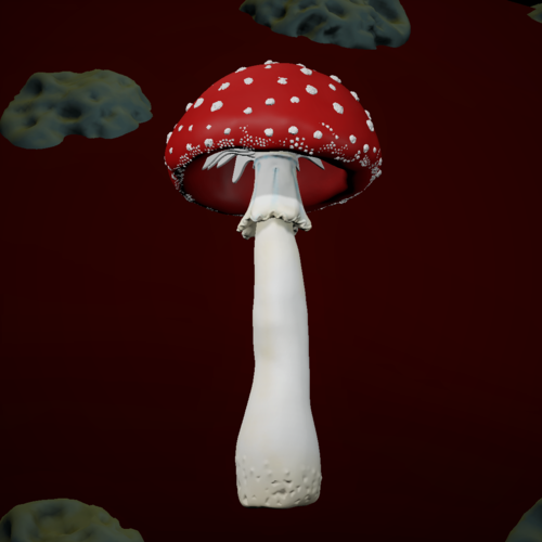 Amanita mushrooms