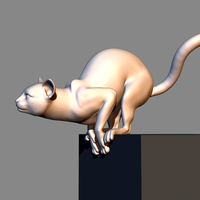 Cat before jumping 3D print model - Thumbnail 7