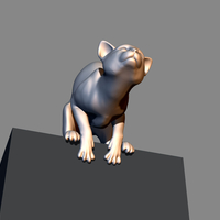 Cat before jumping 3D print model - Thumbnail 13