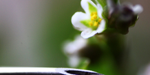 Image 411870