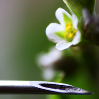 Macro Splitter - Thumbnail 7