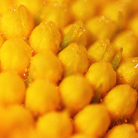 Macro Splitter - Thumbnail 8