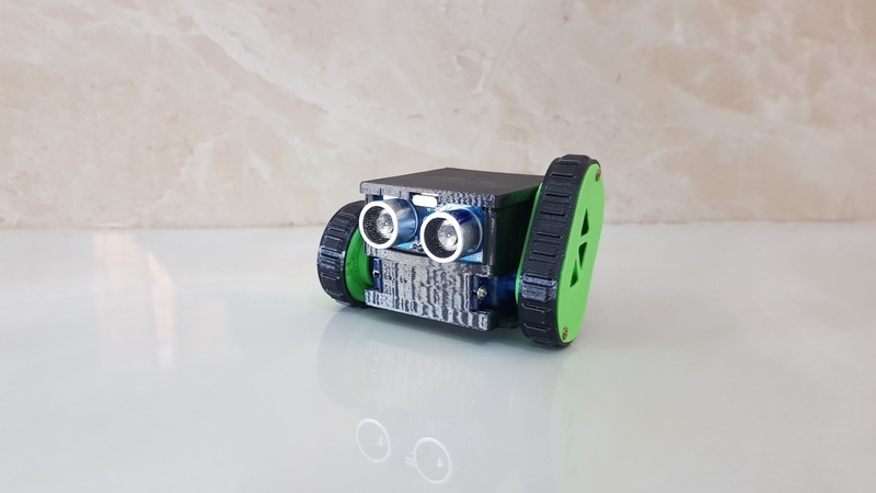 Following robot and avoiding robot