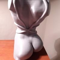 BDSM Torso - Thumbnail 3