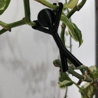 SMALL PEOPLE FOR THE PLANTS - Thumbnail 5