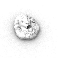lion - Thumbnail 1