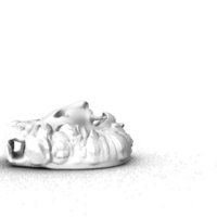 lion - Thumbnail 2
