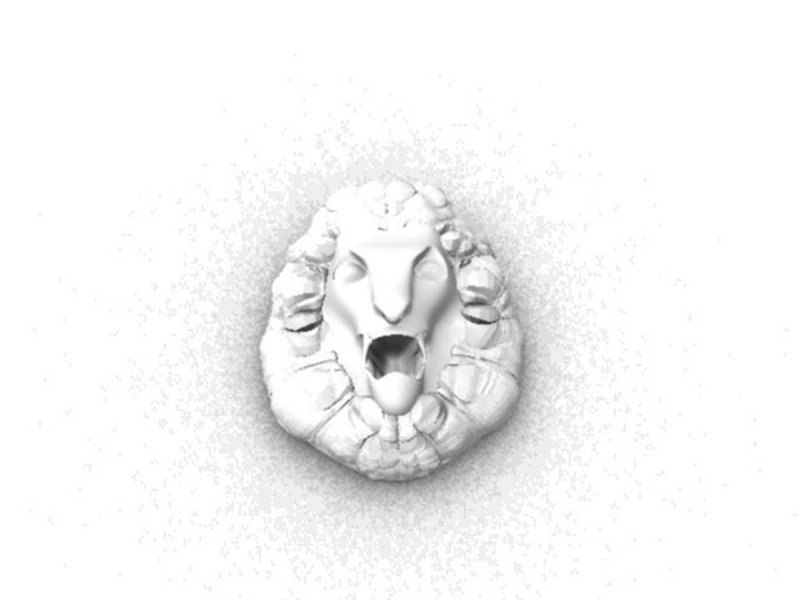 lion
