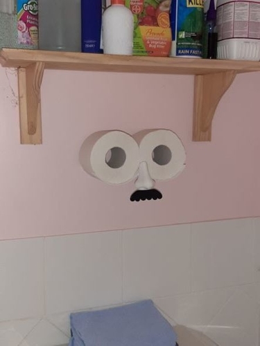 Toilet Roll Face Holder Storage 3D Print 412974