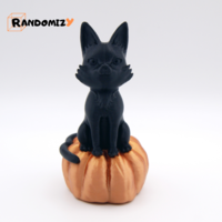Black Cat on a Pumpkin - Thumbnail 2
