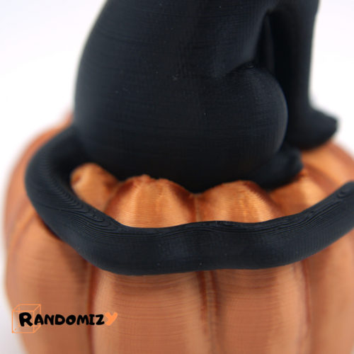 Black Cat on a Pumpkin 3D Print 413405