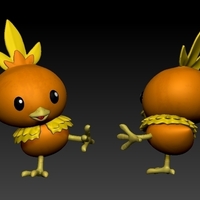 Pokemon torchic  - Thumbnail 3