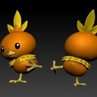 Pokemon torchic  - Thumbnail 4