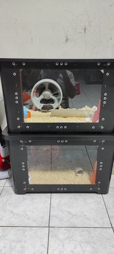 200 mm. Hamster wheel 3D Print 413458
