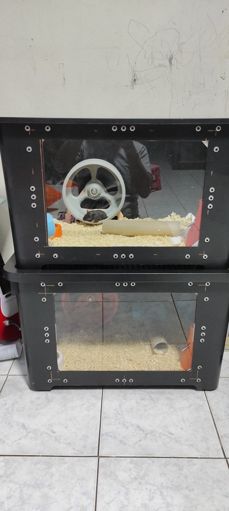 200 mm. Hamster wheel