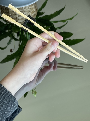 make sushi sticks automatic! 3D Print 413644