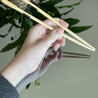 Small make sushi sticks automatic! 3D Printing 413644