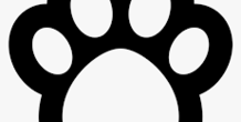 Image 413664
