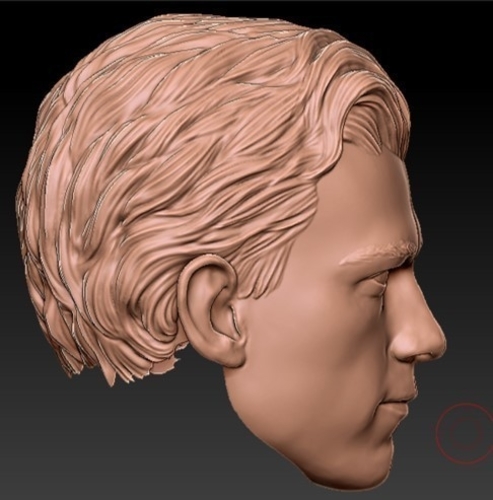 Head sculpt Peter parker 3D Print 413731