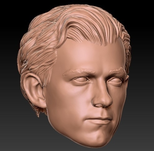 Head sculpt Peter parker 3D Print 413733