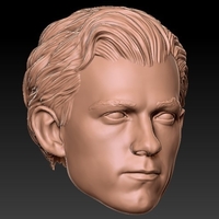 Head sculpt Peter parker - Thumbnail 4