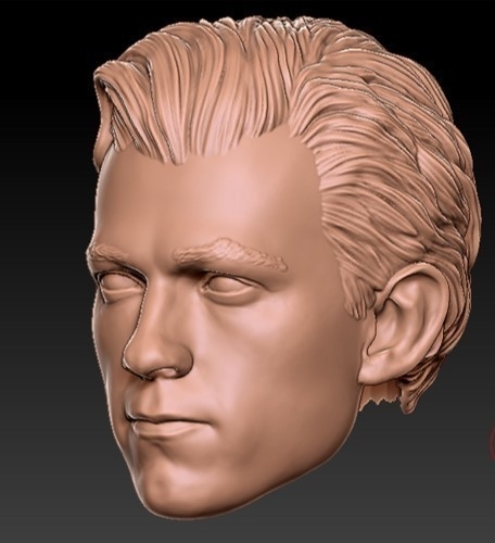 Head sculpt Peter parker 3D Print 413734