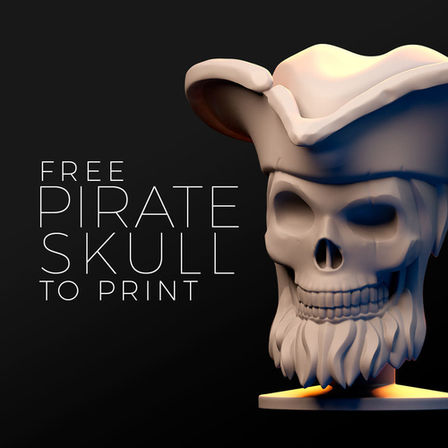 Pirate Skull 3D Print 413914