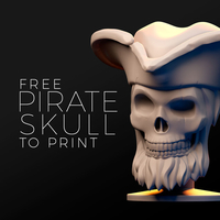 Small Pirate Skull 3D Printing 413914