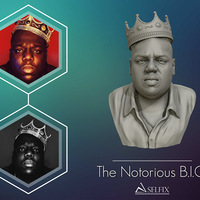 Small The Notorious BIG  3D Printing 415046