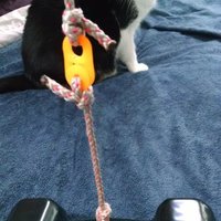 Fastener - Force Activated Release - Breakaway Lanyard - Thumbnail 2