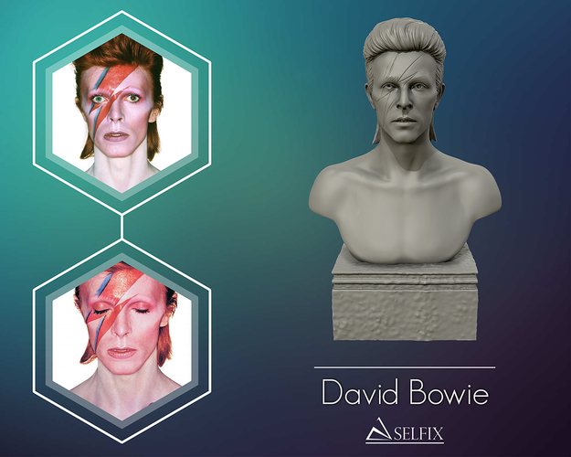 David Bowie 3D Sculpture 3D Print 415302