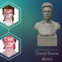 Small David Bowie 3D Sculpture 3D Printing 415302