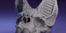 Image 415383