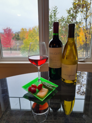 Cocktail Plates with Wine Glass Holder 3D Print 415783