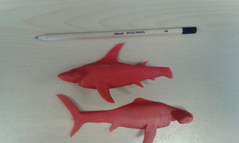 Hammerhead Shark 3D Print 41644