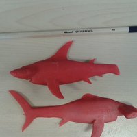 Hammerhead Shark - Thumbnail 5
