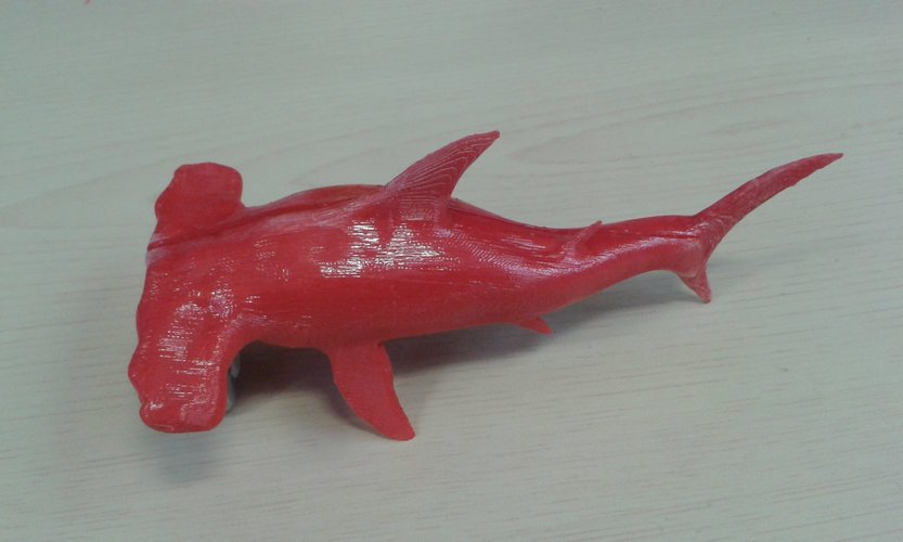 Hammerhead Shark 3D Print 41645
