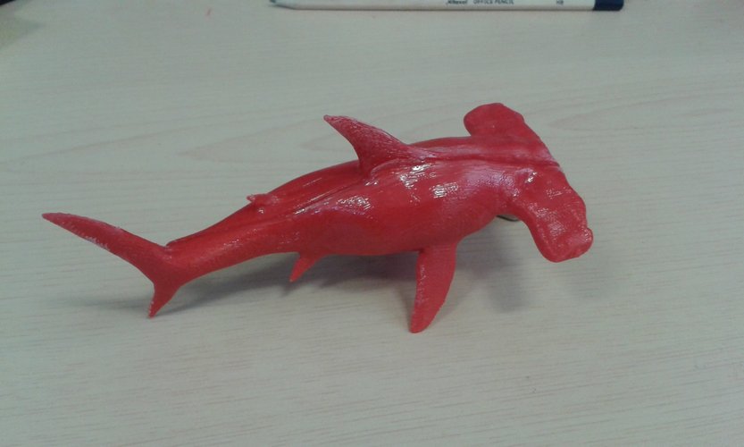 Hammerhead Shark 3D Print 41646