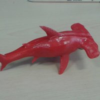 Hammerhead Shark - Thumbnail 7