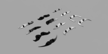 Image 416699