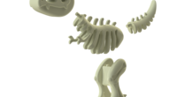 Image 4179