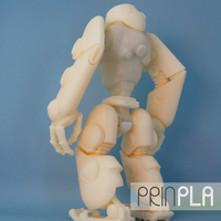 MakerTron_prinPLA-Kit1 (Kit1) - Thumbnail 2