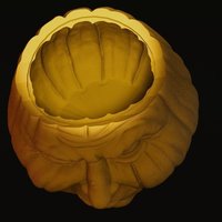 Grumpkin Jar with Lid - Thumbnail 7