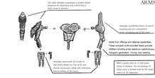 Image 43568