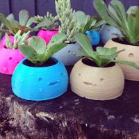 Happy Planters- Small - Thumbnail 1