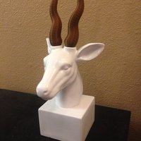 Small Gazelle Horns  3D Printing 44253