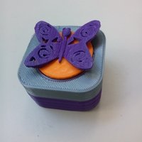 Butterfly giftbox - Thumbnail 2